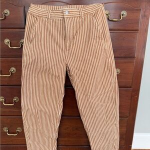 Everlane Tan and White Striped Chinos